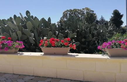 Villa Relais Palmento 1866 Torre Favara - Foto 5