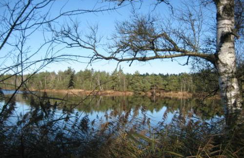 Haus Gollinger - Foto 8