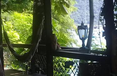 Praia Comprida Flats - Foto 7