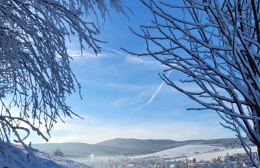 Fachwerkwinkel Erzgebirge - Foto 45