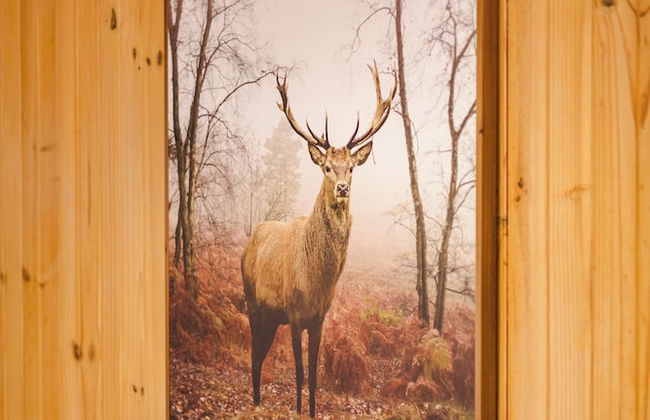 StayAU Stunning Villa near Wildlife Park - Foto 59