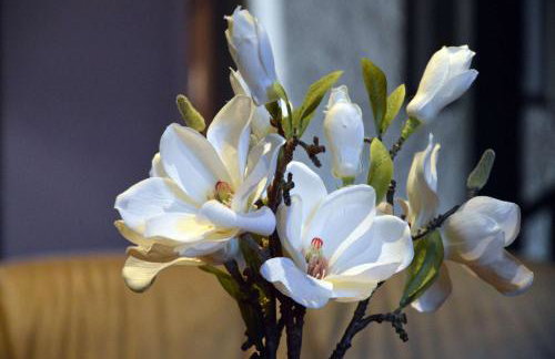 Mas Sabaters - L'Era de Sabaters - Foto 50