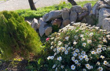 Villa Ohana - Photo 17