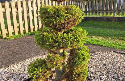 Pension Andrea - Photo 19