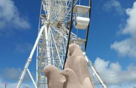 Mobil-home bww camping le bois dormant - Foto 23