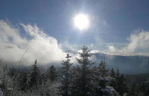 Waldheimat - Photo 32