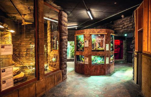 Appartements im Freizeitpark Weissenhäuser Strand - Foto 7