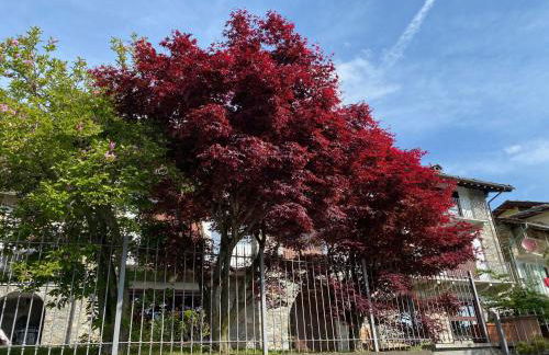 La Casa di Nina - Traves - Foto 8