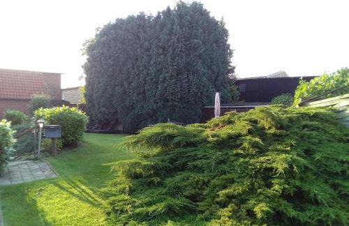 Blütenzauber Apartment No 7 - Photo 10