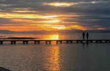 Lo Trabucador Casa nueva en el corazón del Delta - Foto 58