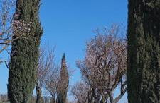 Alloggio La Perla, quiete ed eleganza con vista - Foto 31