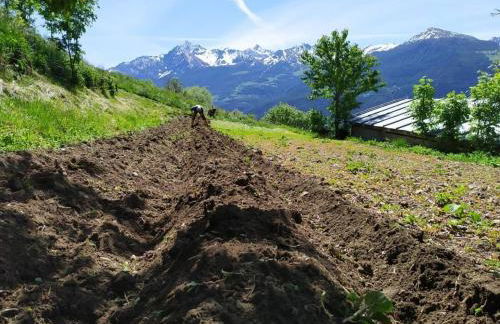 Agriturismo Les Ecureuils - Foto 21