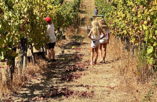 casa dos esteios - Photo 26