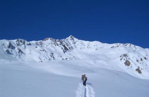 Beim Gruber - Foto 35