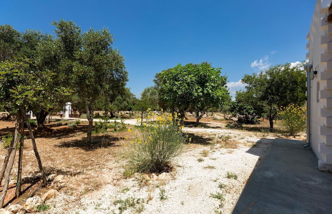 2670 Trullo Corni di Fiasco by Barbarhouse - Photo 32