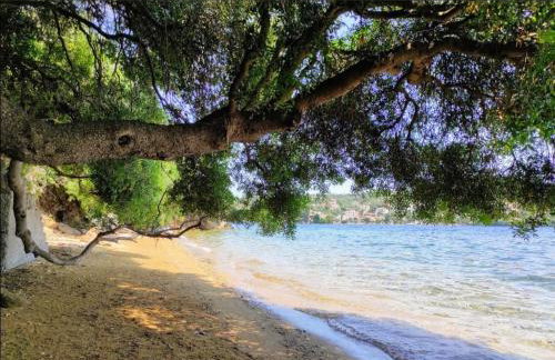 Elia Seaside Pteleos - Foto 34