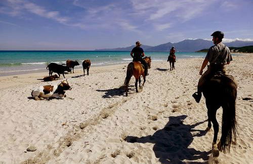 Grande Villa, Corse du Sud, Domaine privé de Cala Rossa - Foto 34