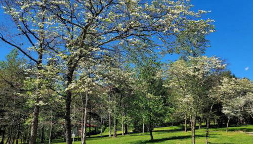 Farmview Cottage at White Lotus Eco Spa Retreat - Foto 4