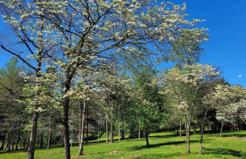 Farmview Cottage at White Lotus Eco Spa Retreat - Foto 4