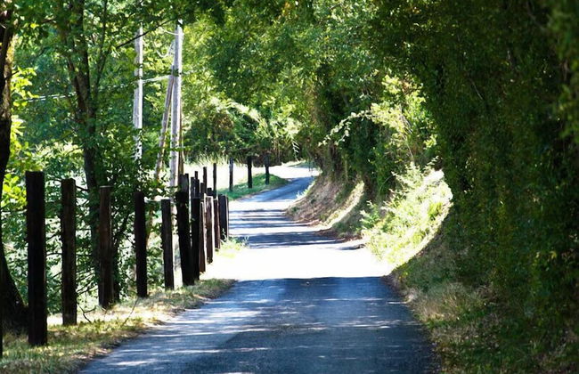 Agriturismo Terrasabina - Foto 71