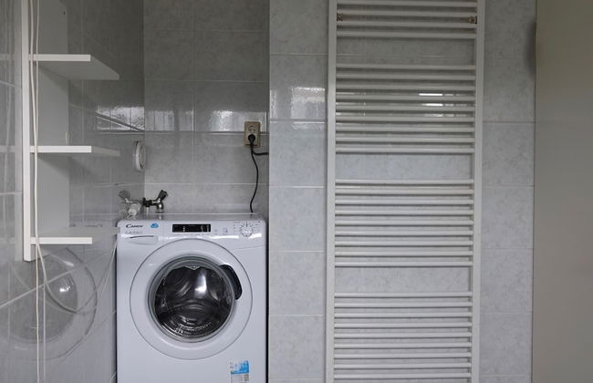 Family Escape Near Keukenhof - Photo 11