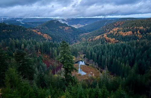 Tannenduft Freudenstadt - Foto 30