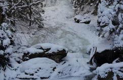 Ferienwohnung Wildgatter - Photo 28