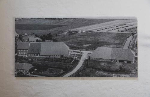 Gulfhof Boomgaarden 3 Boomgaarden 3 Geertje - Foto 31