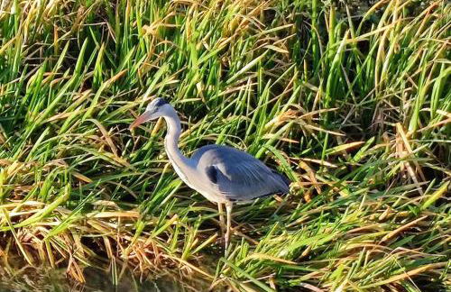 Billing Aquadrome ,3 bedrooms caravan - Photo 32