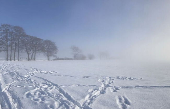 Summit Happiness at the Purple Beech - Foto 16