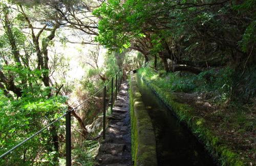 Beautiful View 2 - Arco da Calheta - Ilha da Madeira - Foto 39