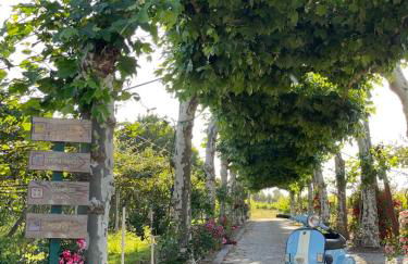 Quinta de Maderne - Foto 56