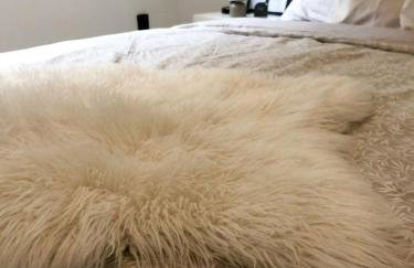 Ruhiges Apartment Münster Baumberge - Foto 22