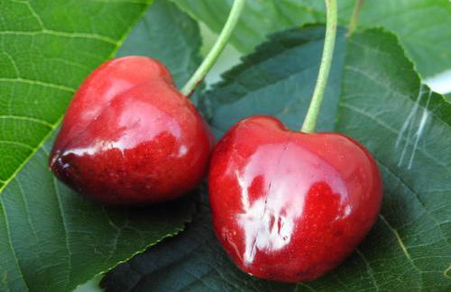 El Canchal de la Gallina -Cafetería -Aparcamiento gratis - Jacuzzi - Piscina de agua caliente abierta desde el 28 de Marzo - Foto 7