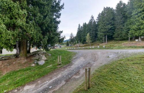 Les sapins 1 - Foto 22