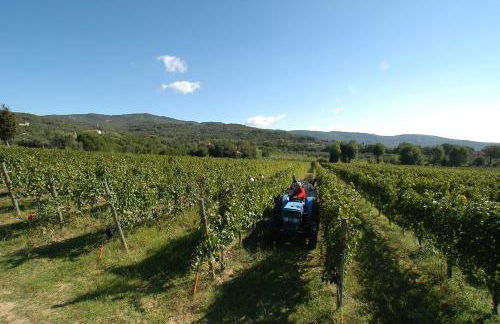 La Casa Colonica wine and oil - Foto 24