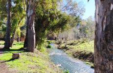 CasaJulis Chelva - Foto 38