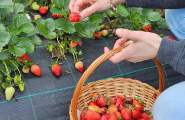 Quinta D'Joanes Douro - Foto 45