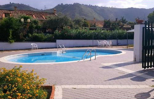 HH SELECTION Emiro - Foto 36