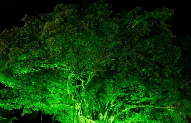 Africanos Country Estate - Foto 43