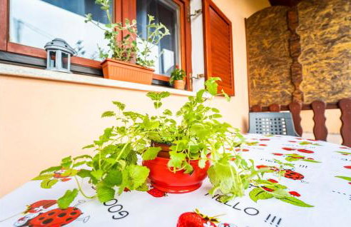 Apartment Krnica Iii - Foto 12