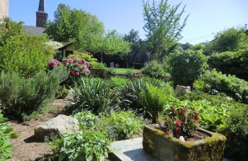 Old Winemaker's House Müntnich - Foto 9