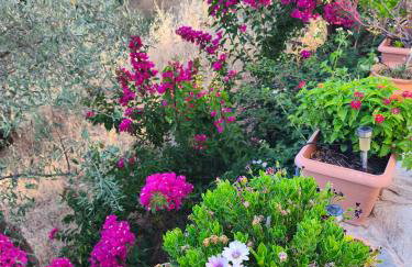 Sea view Goldins house - Foto 19