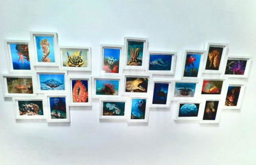 Black Sand Loft - Foto 30