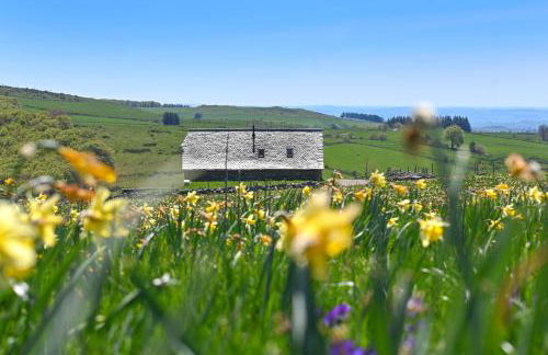 Buron de Léon, en plein cœur de l Aubrac - Photo 12