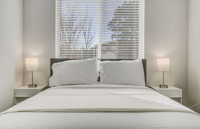 Rising Star - Photo 19