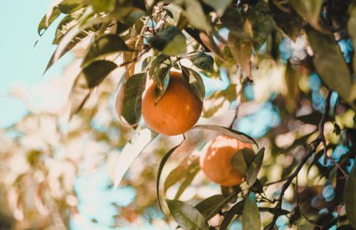 Casa Sol - traditional village house with pool and view - Foto 47