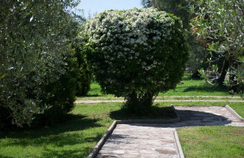 Sanja apartments Sveti Servul - Foto 26