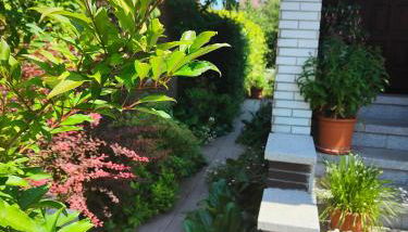 Komplette Wohnung, ruhig gelegen - Foto 4