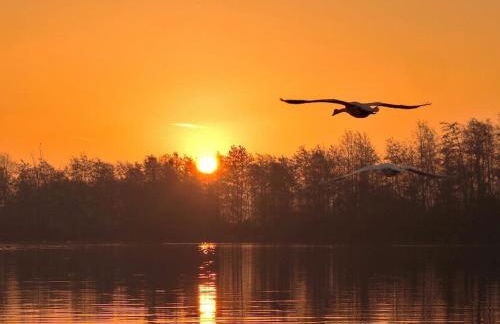 Castleford Cottage , Lowermill Estate - Photo 25